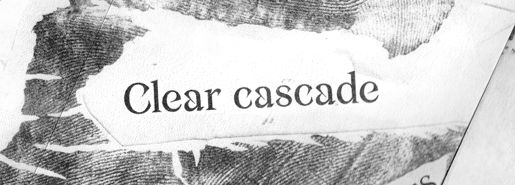 Close-up on Minazuki type in print, fine serif detailing.